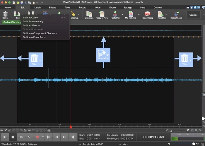 WavePad Audio File Splitter