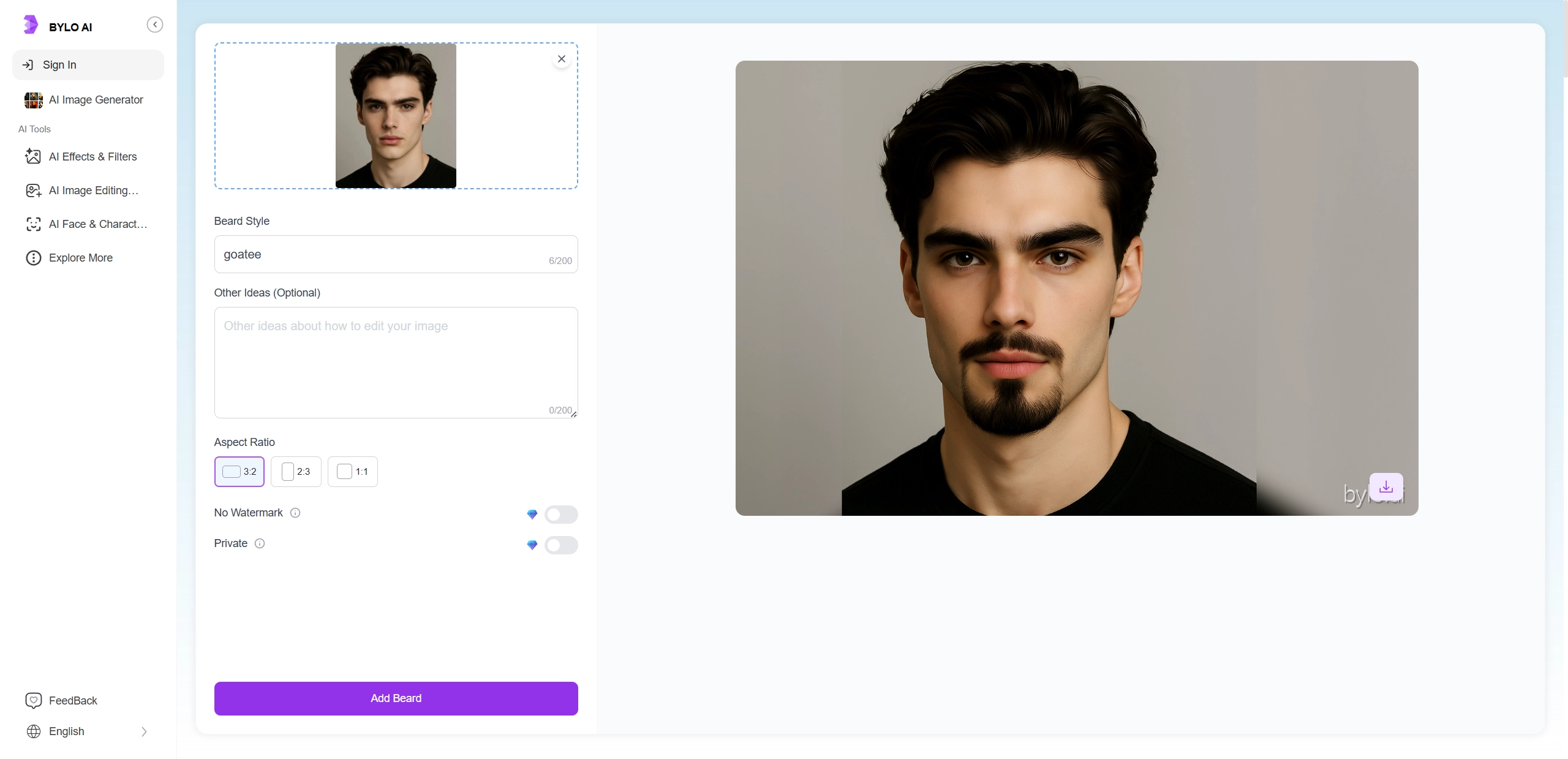 What Do I Look Like with a Beard Bylo AI