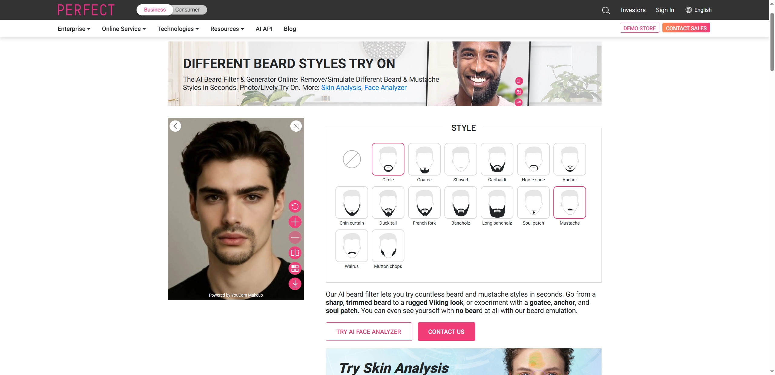 What Do I Look Like with a Beard Perfectcorp