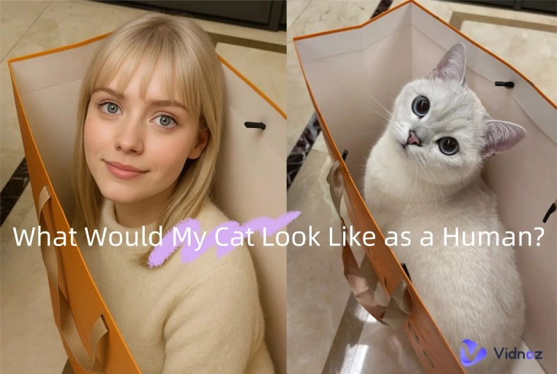 What Would My Cat Look Like as a Human? - Turn Cat to Human Image with AI Magic!