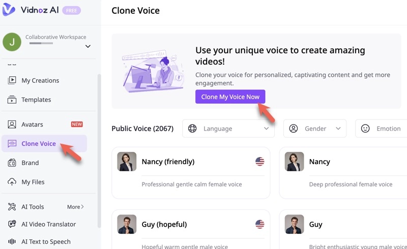 Zelda AI Voice Clone